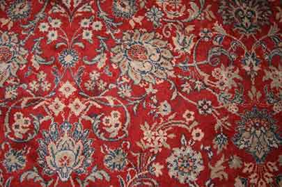 carpet or rug eradicating